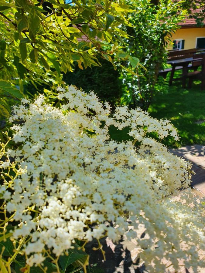 Готель Landhof Steinbaeck Sankt Stefan ob Stainz Екстер'єр фото