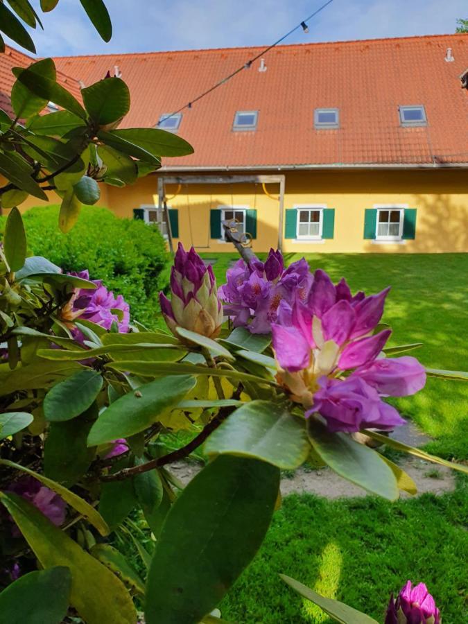 Готель Landhof Steinbaeck Sankt Stefan ob Stainz Екстер'єр фото